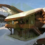 AURON