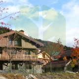AURON producent domów drewnianych chrobak styl alpejski