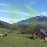 ARITH chrobak dom drewniany producent domuw drewmianych styl alpejski