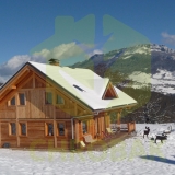 ARITH chrobak dom drewniany producent domuw drewmianych styl alpejski